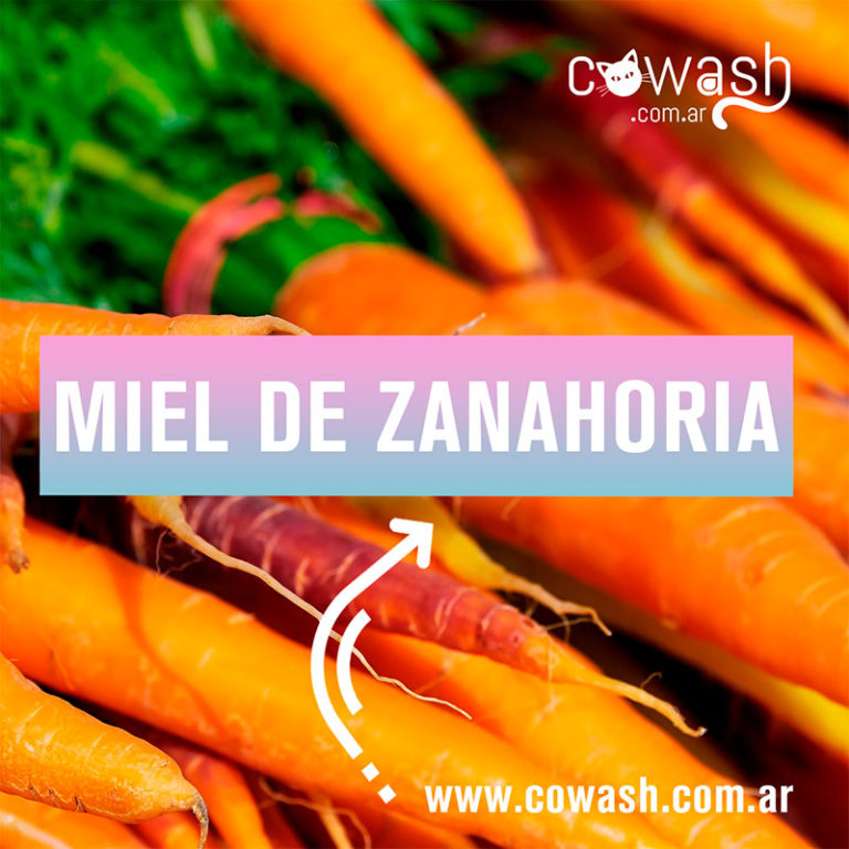 Recetas Naturales Para El Cabello