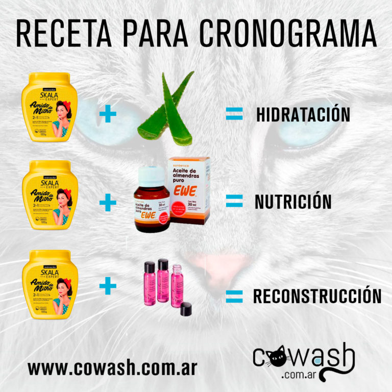 Recetas Naturales Para El Cabello